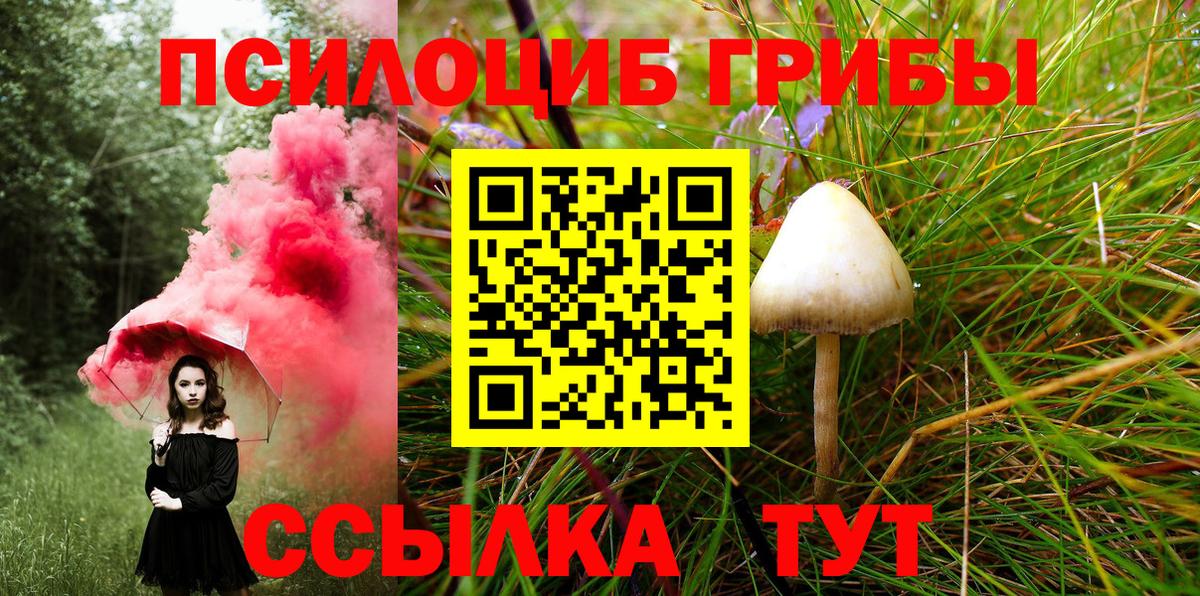 Псилоцибиновые грибы Psilocybine cubensis Коммунар