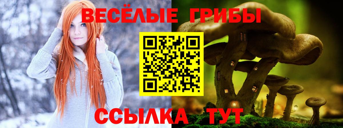 Коммунар  Галлюциногенные грибы GOLDEN TEACHER  Вход с VPN 